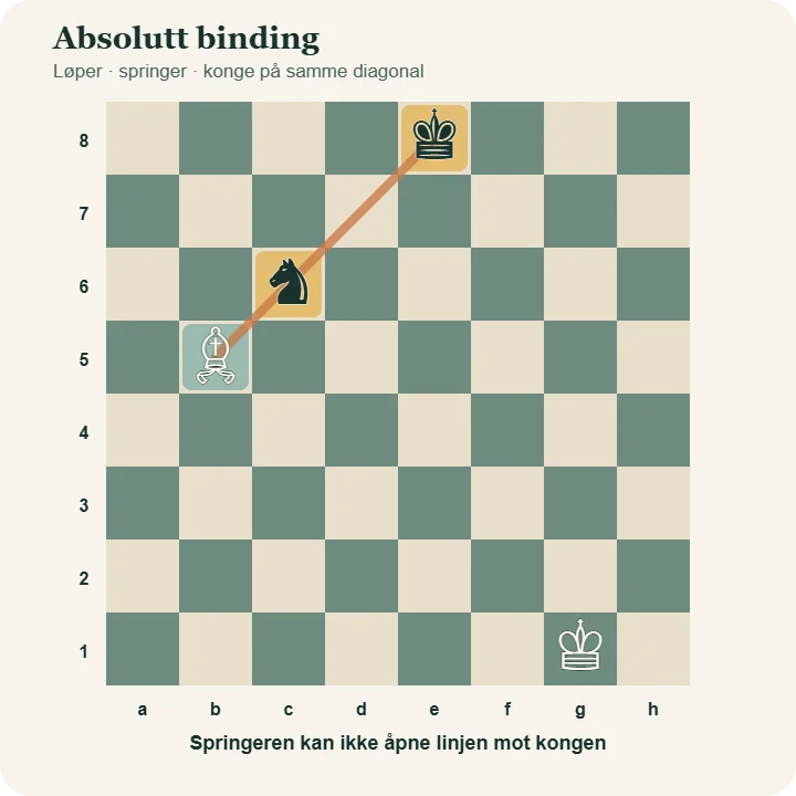 Hvit løper på b5 binder svart springer på c6 til kongen på e8 langs diagonalen b5–e8.
