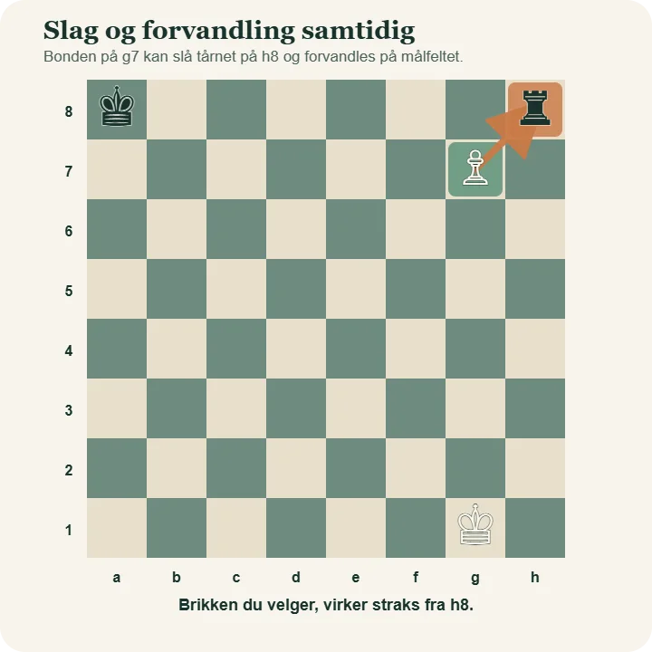 Hvit bonde på g7 har pil til et svart tårn på h8. Diagrammet viser at bonden kan slå tårnet og forvandles på h8.
