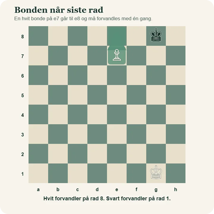 Hvit bonde på e7 med pil til e8. Begge feltene er markert for å vise at bonden forvandles når den når rad 8.