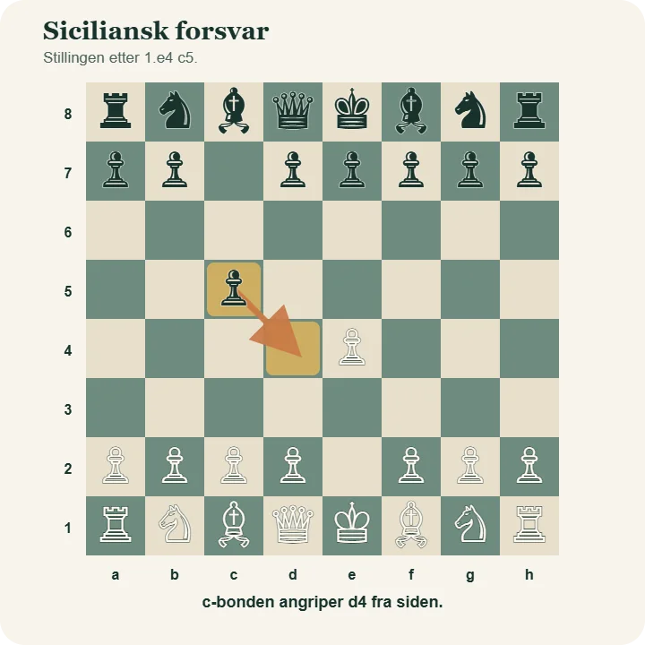 Startstillingen i siciliansk forsvar etter 1.e4 c5. Pilen fra den svarte bonden på c5 peker mot sentrumsfeltet d4.