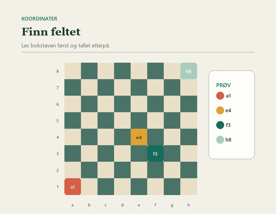 Sjakkbrett med feltene a1, e4, f3 og h8 markert. Bokstavene leses langs nederste kant og tallene opp langs siden.