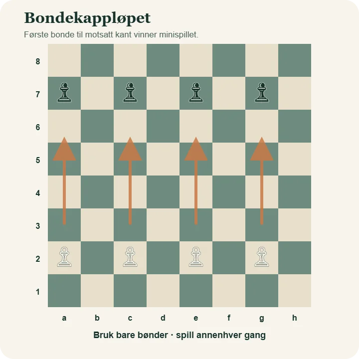 Sjakkbrett med hvite bønder på a2, c2, e2 og g2 og svarte bønder på a7, c7, e7 og g7. Piler viser retningen de hvite bøndene går.
