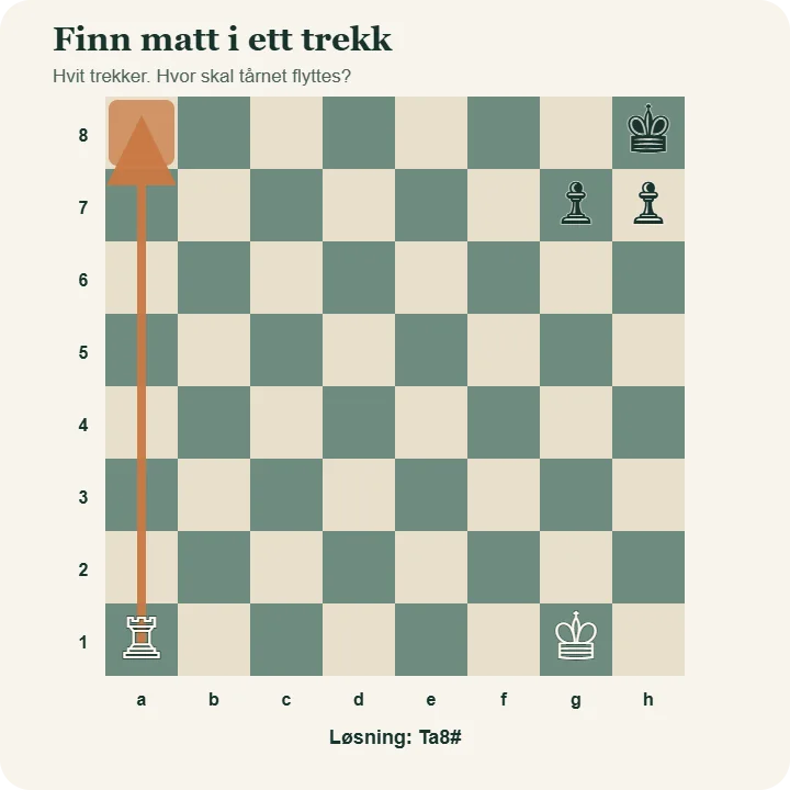 Svart konge står på h8 bak bønder på g7 og h7. Hvit har konge på g1 og tårn på a1. En pil viser tårnets vei fra a1 til a8, som setter matt.