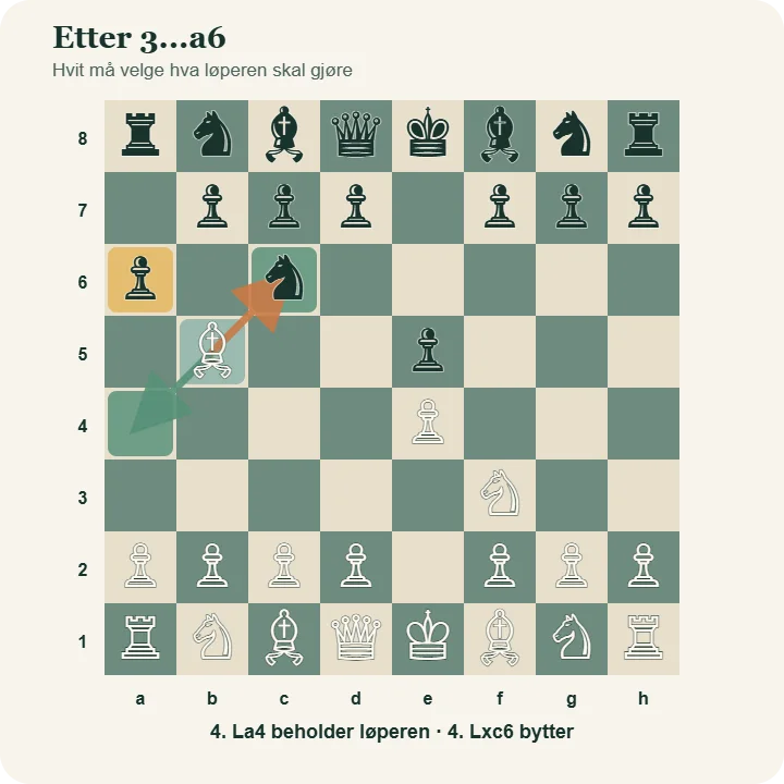 Spansk åpning etter 3...a6, med piler som viser hvit løpers valg mellom 4.La4 og 4.Lxc6.