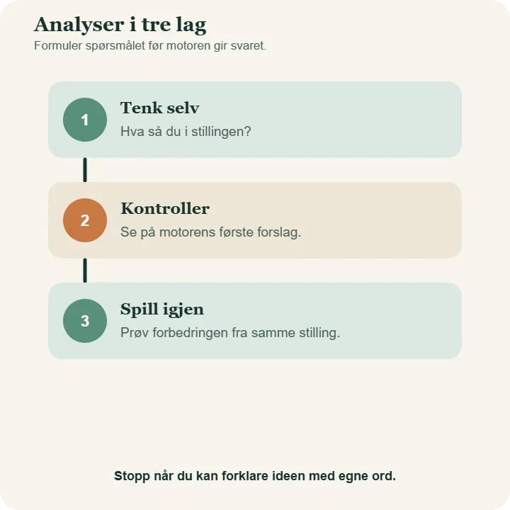 Tre lag i analysen: tenk selv, kontroller med motoren og spill stillingen på nytt.